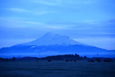 DSC_0961 (Large).JPG